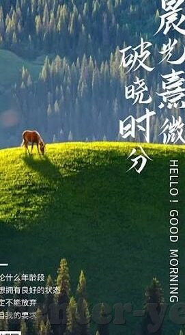 麻豆网站高清在线视频-娱乐新风貌，麻豆网站高清在线视频的多元化体验